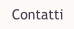 Contatti